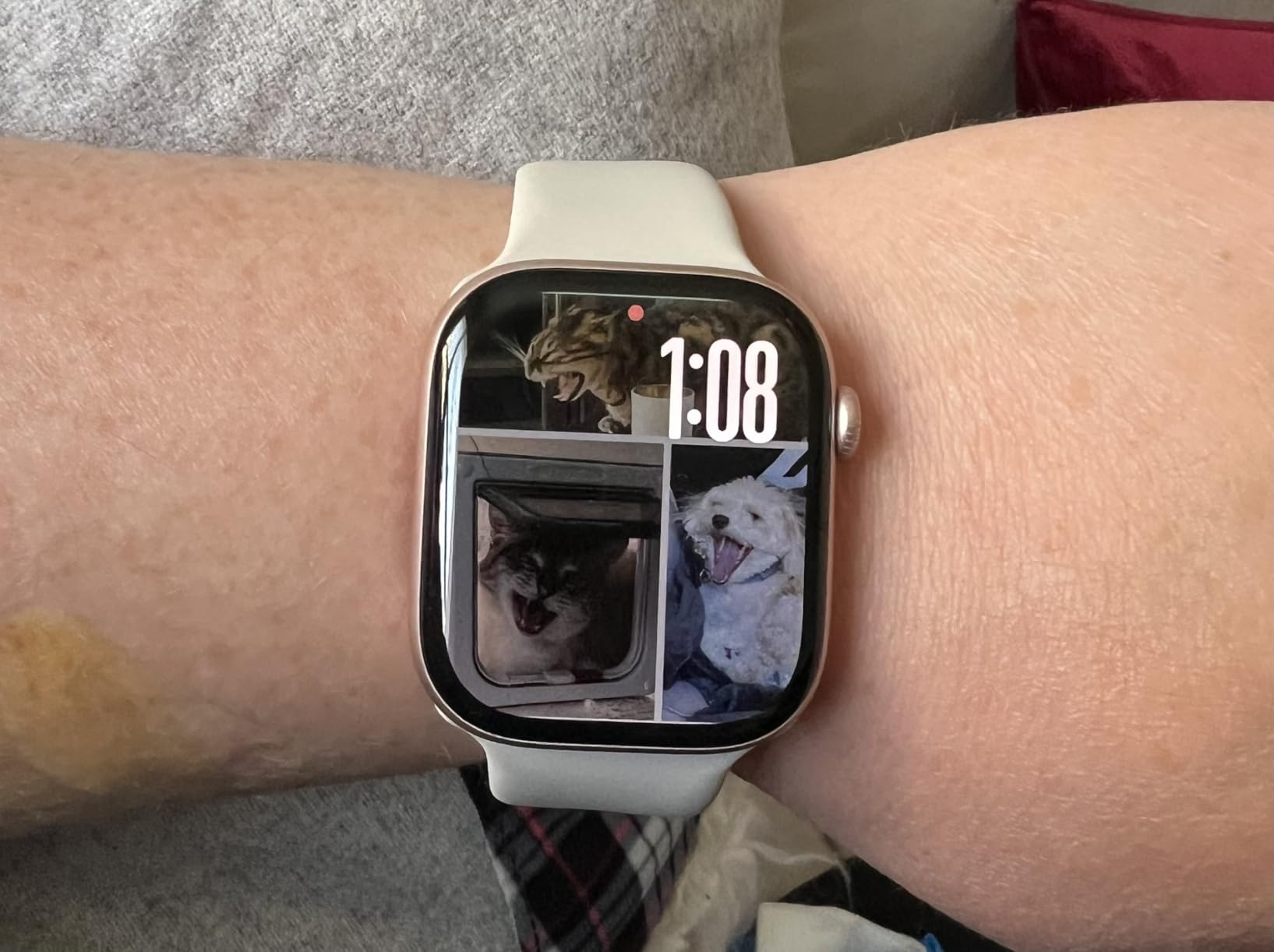 Apple Watch Series 10 [GPS + Cellular, 46mm] - Jet Black Aluminum Case with Black Sport Band, M/L (Renewed) - Customer Photo 1