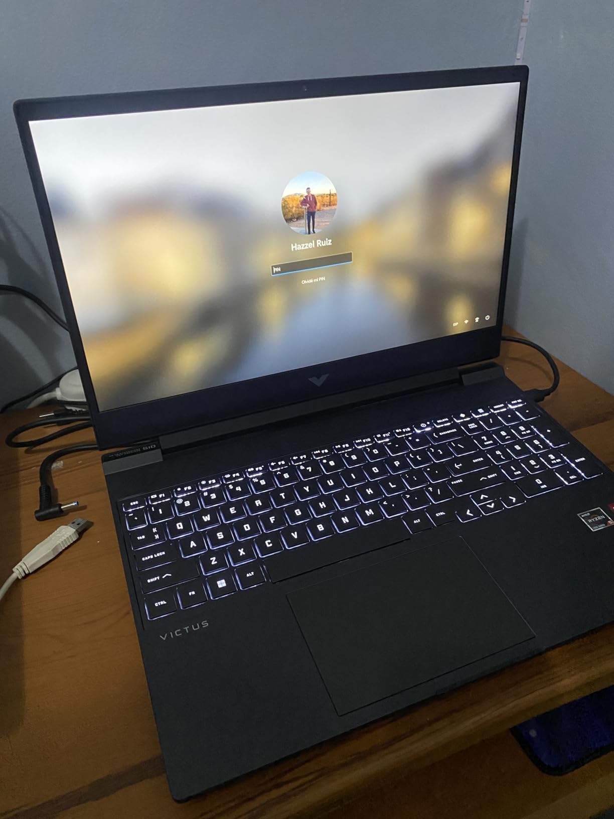HP Victus 15.6