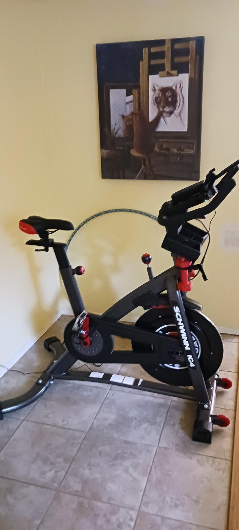 Schwinn Fitness IC Indoor Cycling Bike Series Customer Review Schwinn Fitness IC Indoor Cycling Bike Series - Customer Photo 1