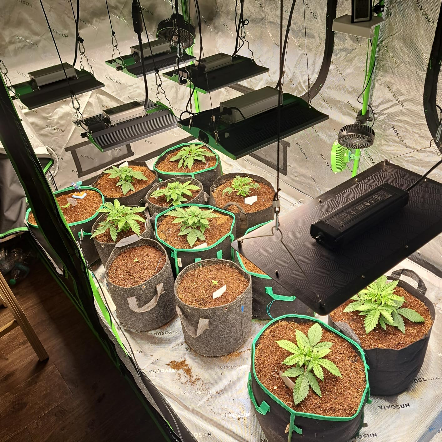 70 Watt Grow Light, Dimmable Plant Light, LED Grow Lights for Indoor Plants customer photo 1