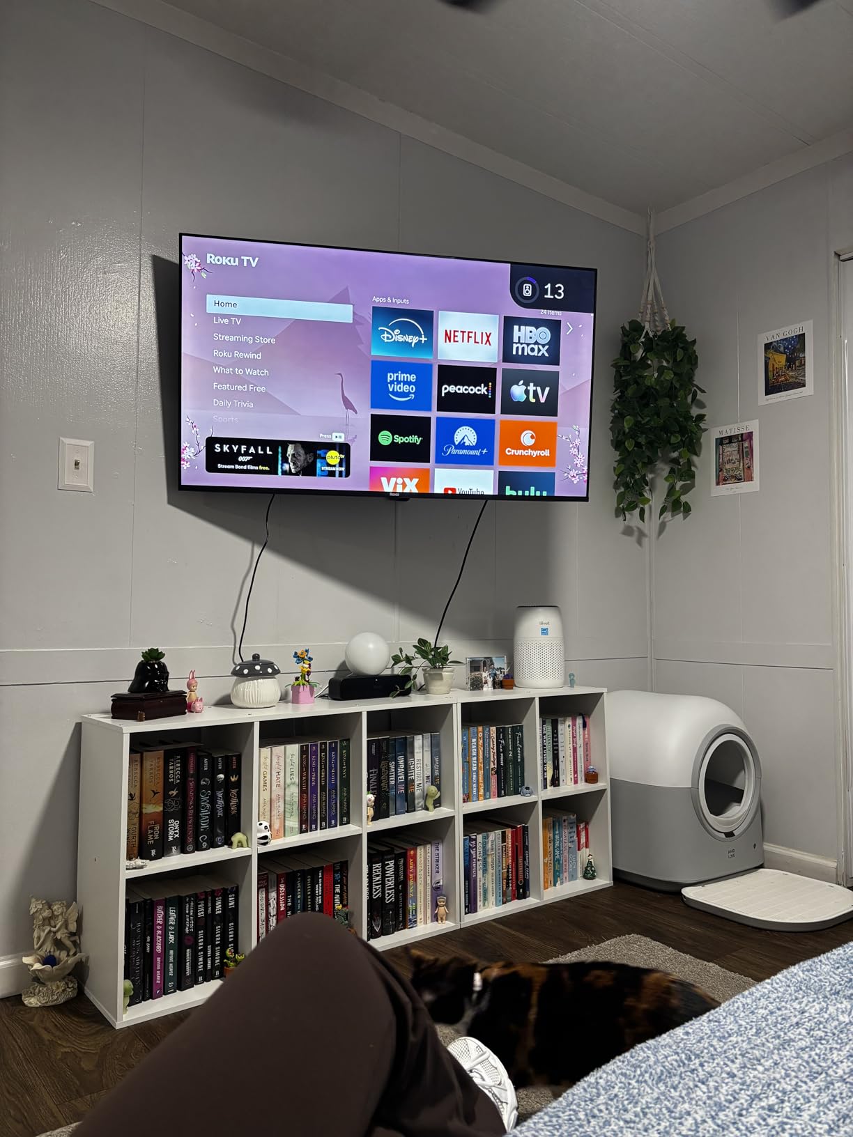 Roku Smart TV - 43-Inch Select Series, 4K HDR TV - RokuTV with Enhanced Voice Remote - Flat Screen LED Television with Wi-Fi for Streaming Live Local News, Sports, Family Entertainment customer photo 2