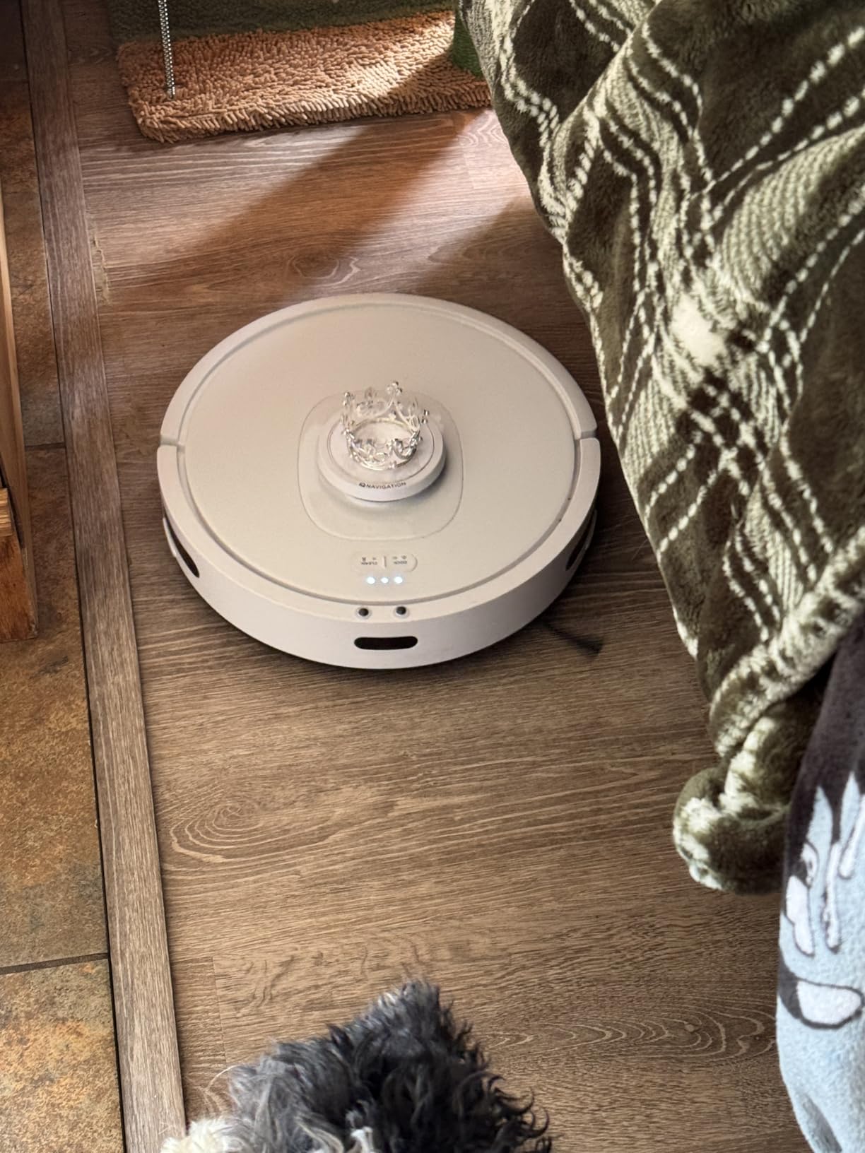 Shark IQ Robot Vacuum with Bagless Self-Empty 60 Day Capacity Base, Multi-Surface Cleaning, Powerful Suction, Pet Hair Pickup, for Carpets & Hardfloors, Home Mapping, White, RV2302AE Customer Review Shark IQ Robot Vacuum with Bagless Self-Empty 60 Day Capacity Base, Multi-Surface Cleaning, Powerful Suction, Pet Hair Pickup, for Carpets & Hardfloors, Home Mapping, White, RV2302AE - Customer Photo 1