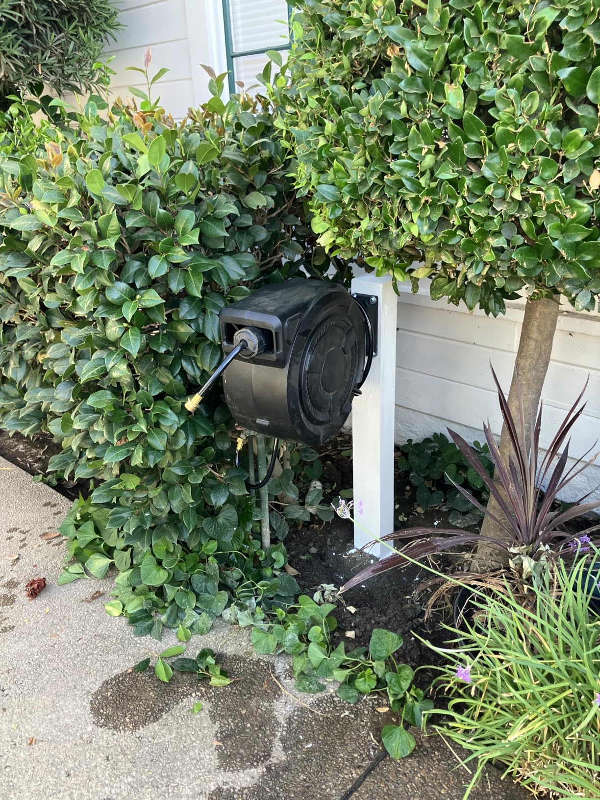 wikiwiki Retractable Garden Hose Reel 1/2 in x 100 ft, Heavy Duty Wall Mounted Hose Reel with 10-Function Sprayer Nozzle, Automatic Slow Return System/180°Swivel Bracket/UV Resistant (Black) customer photo 1