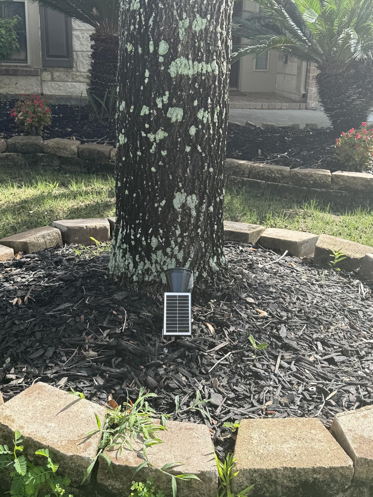 APOMAO Solar Lights Outdoor Waterproof, 36 LEDs 1000LM Adjustable Solar Spot Lights Outdoor, 2-in-1 Solar Powered Spotlight Landscape Lighting for Garden, Yard, Pathway- 2 Pack (Cool White) - Customer Photo 2