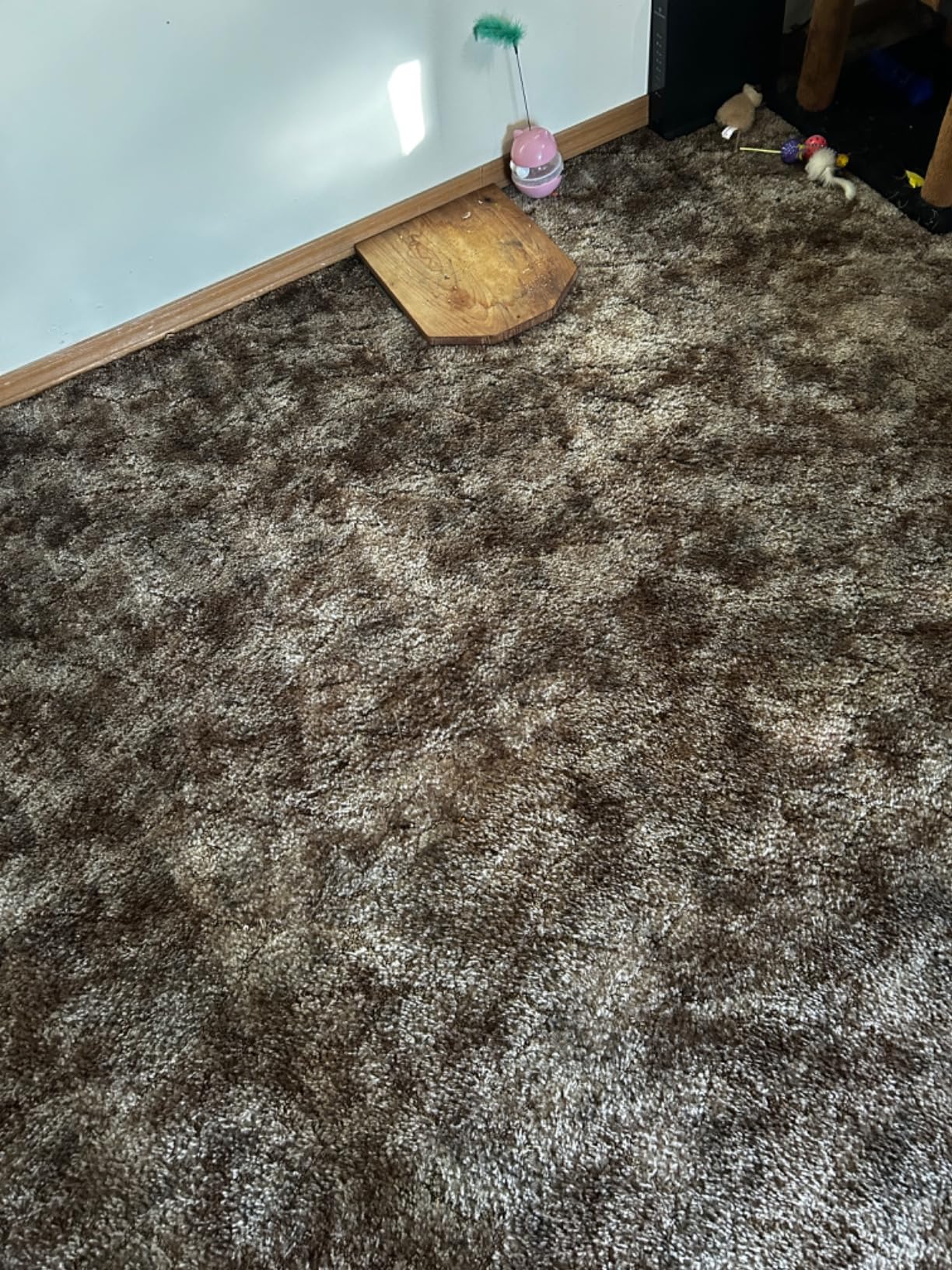 Shark Freestyle Max Cordless Upright Vacuum, Multi-Surface Cleaning, Lightweight, Easy Maintenance, with Large Dust Cup and 2-Speed Brushroll, LED Headlights, Nordic Blue, SV2002 customer photo 2