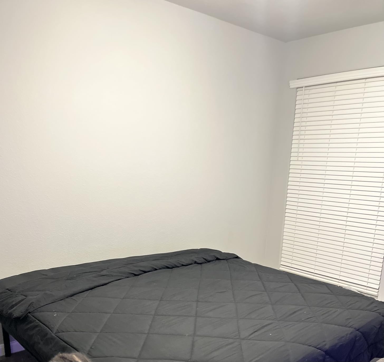 Cal King Mattress, 14 Inch California King Size Mattress in a Box, Medium Pocket Spring and Gel Memory Foam for Superior Comfort, Pressure Relief, Strong Edge Support - Customer Photo 1