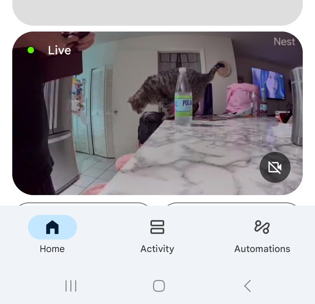 Google Nest Cam Indoor (Wired, 3rd Gen) - Security Camera with 2K Video and Gemini, Night Vision, 2-Way Audio, Works with Google Home - 2025 Model - Hazel - Customer Photo 2