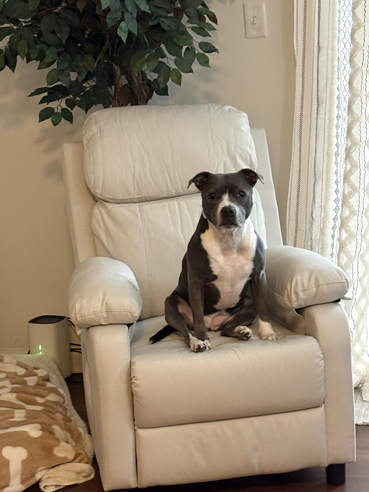 Recliner Chair, Living Room Chairs for Adults, Padded Deep Seat Reading Chair with Side Pockets, Small Recliners for Small Spaces, Lounge Chair for Living Room, Bedroom, and RV (Linen) Customer Review Recliner Chair, Living Room Chairs for Adults, Padded Deep Seat Reading Chair with Side Pockets, Small Recliners for Small Spaces, Lounge Chair for Living Room, Bedroom, and RV (Linen) - Customer Photo 1