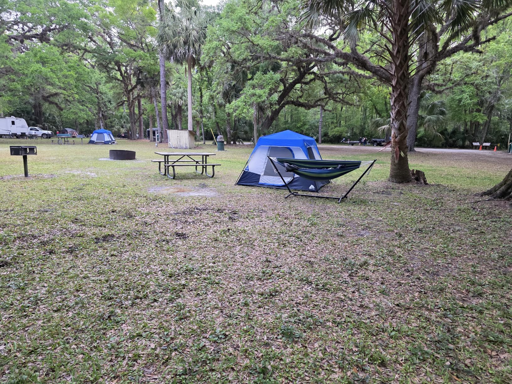 Elevon Hammock Stand, Heavy Duty Adjustable Steel Hammock, 9-Foot, 450-Pound Capacity, Weather Resistant and Easy to Assemble - Customer Photo 2