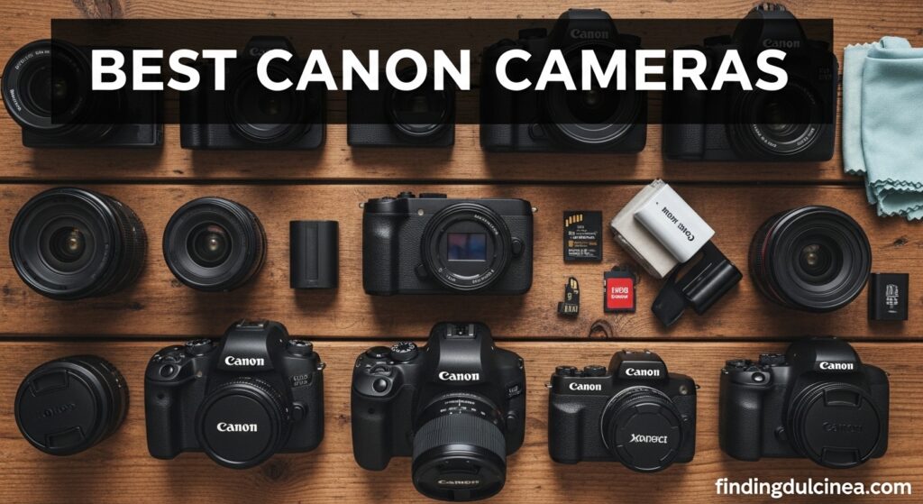 Current image: Best Canon Cameras