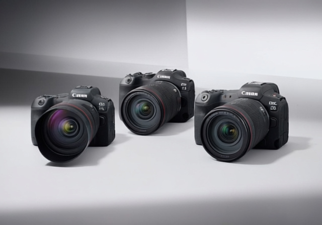 Best Canon Cameras for Professional Photography [cy] - findingdulcinea