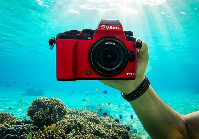 Best Waterproof Cameras [cy]: 10 Models Tested for Underwater Photography - findingdulcinea
