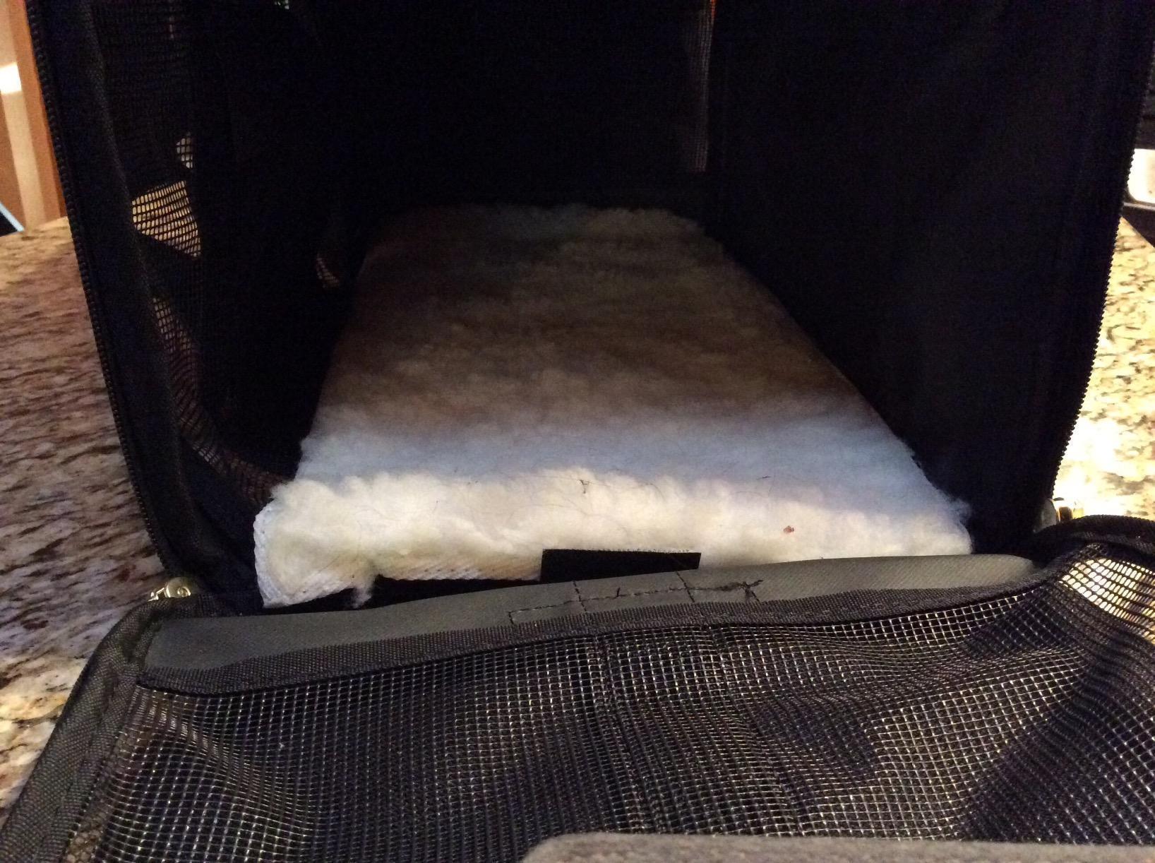 Sherpa Delta Airlines Travel Pet Carrier, Airline Approved & Guaranteed On Board - Black, Medium customer photo 1