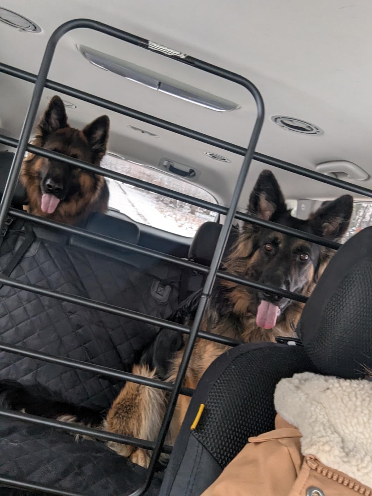 The Original Zookeeper Car, SUV, Truck Dog Barrier: Adjustable Universal for All Vehicles - Moves with Your Vehicle Seats. Tilt. Slide. Recline. Easy Install - Strong Metal Tubing Gate Pet Divider customer photo 1