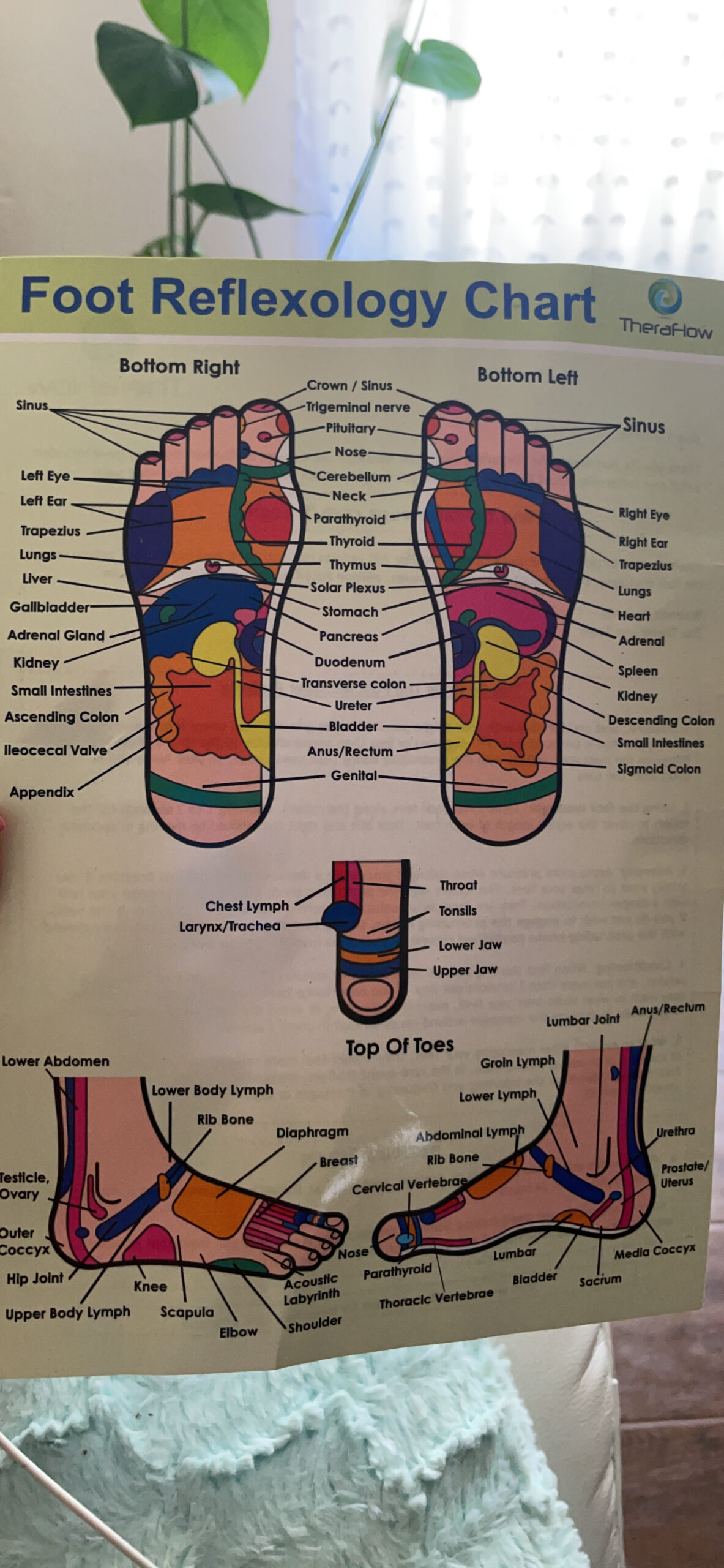 TheraFlow Foot Massager for Neuropathy & Plantar Fasciitis Relief - Mom Gifts for Women & Gifts for Dad, Wooden Foot Roller Massager, Neuropathy Pain Relief for Feet (Includes Reflexology Chart) customer photo 2