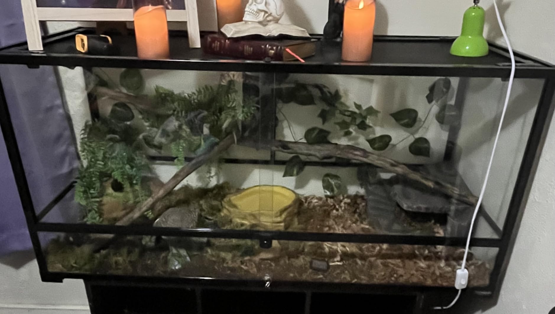 Carolina Custom Cages, 48Lx18Wx24H Tall Extra-Long Terrarium; Easy Assembly customer photo 1