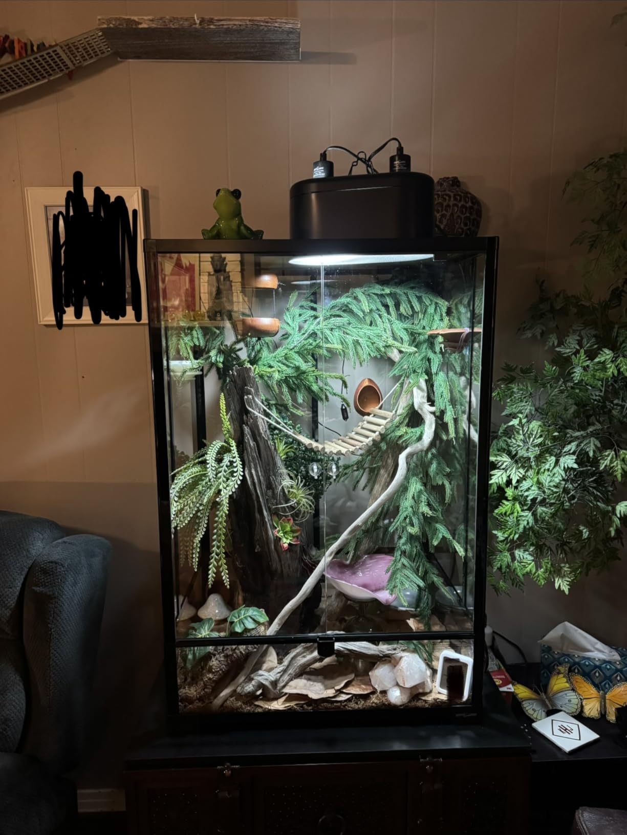 REPTI ZOO 24