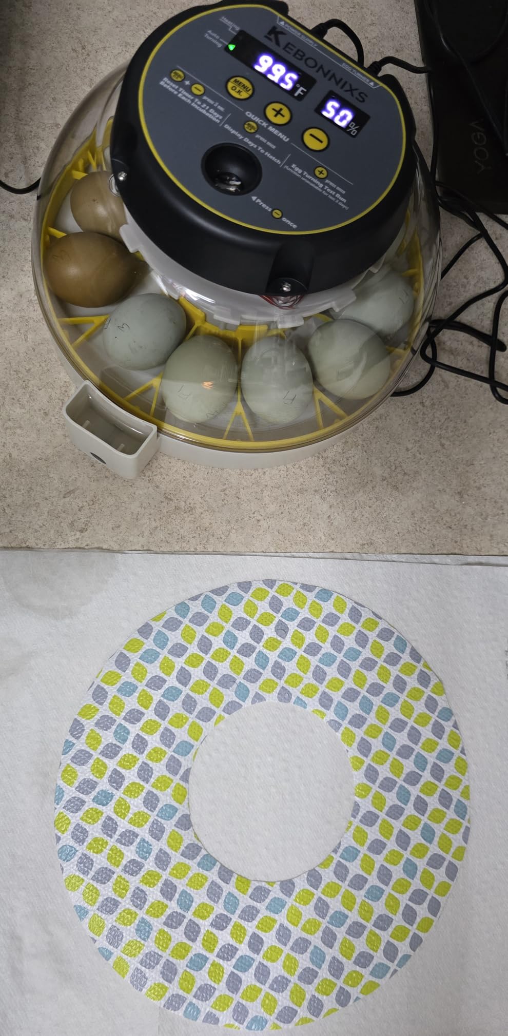 KEBONNIXS 12 Egg Incubator with Humidity Display, Egg Candler, Automatic Egg Turner, for Hatching Chickens customer photo 2