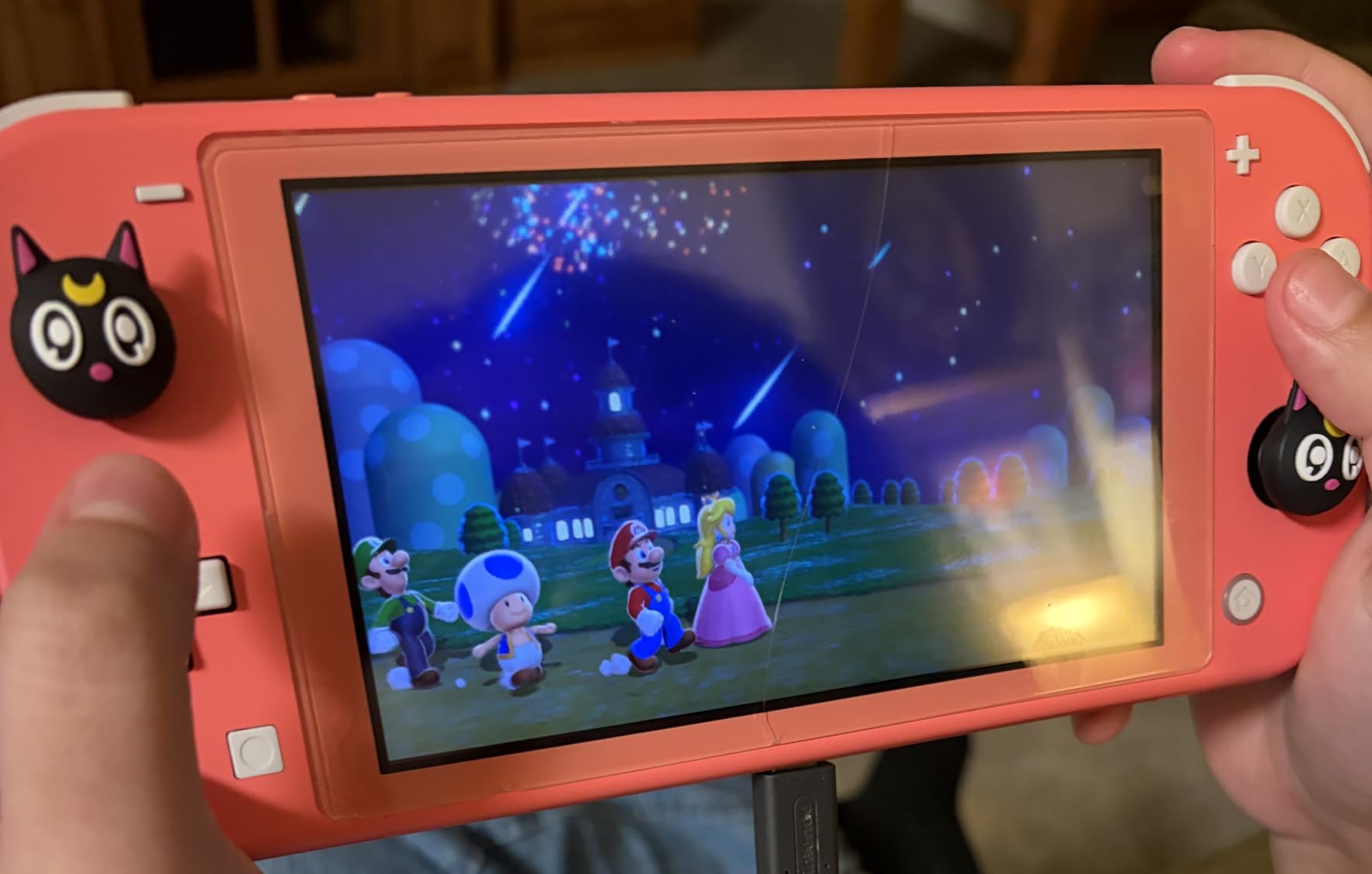 Super Mario 3D World + Bowser's Fury - US Version customer photo 2