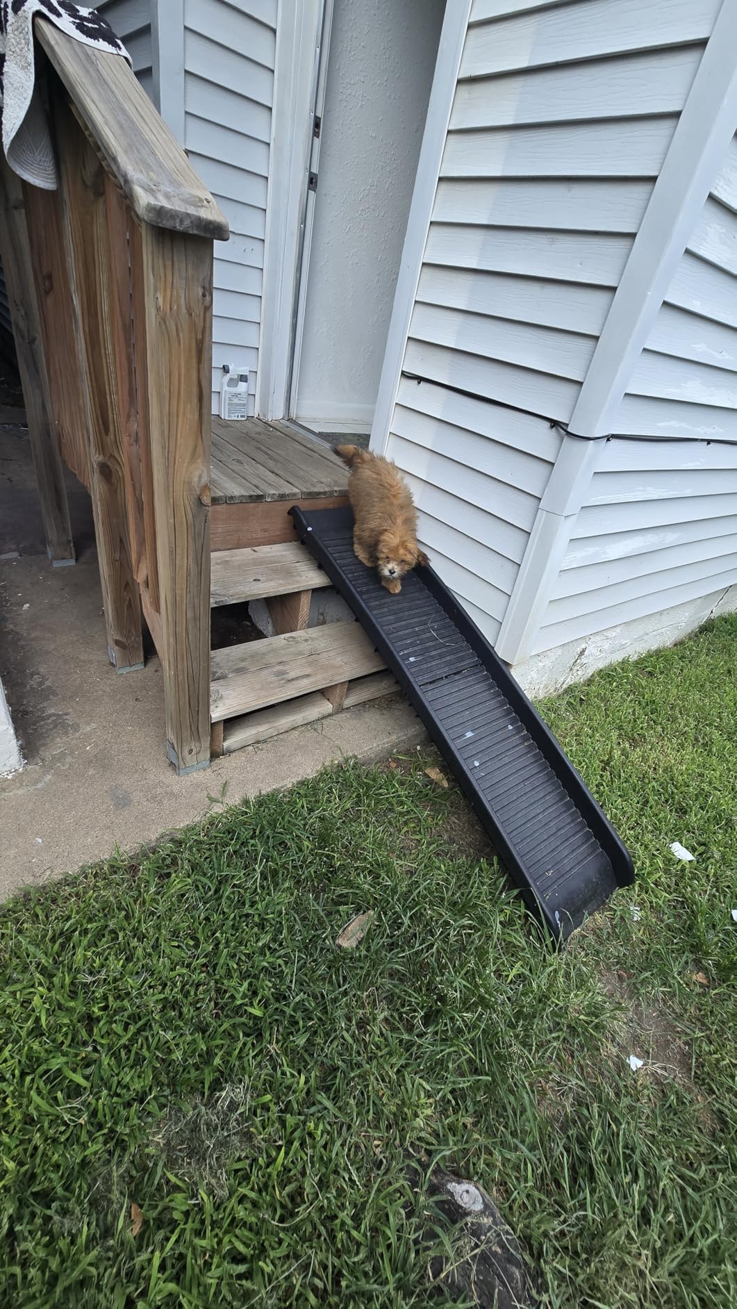 PawStep 50524 61