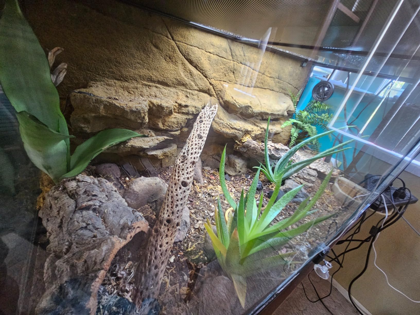 REPTI ZOO 67 Gallon Reptile Large Terrarium Newly Upgraded All Glass 48