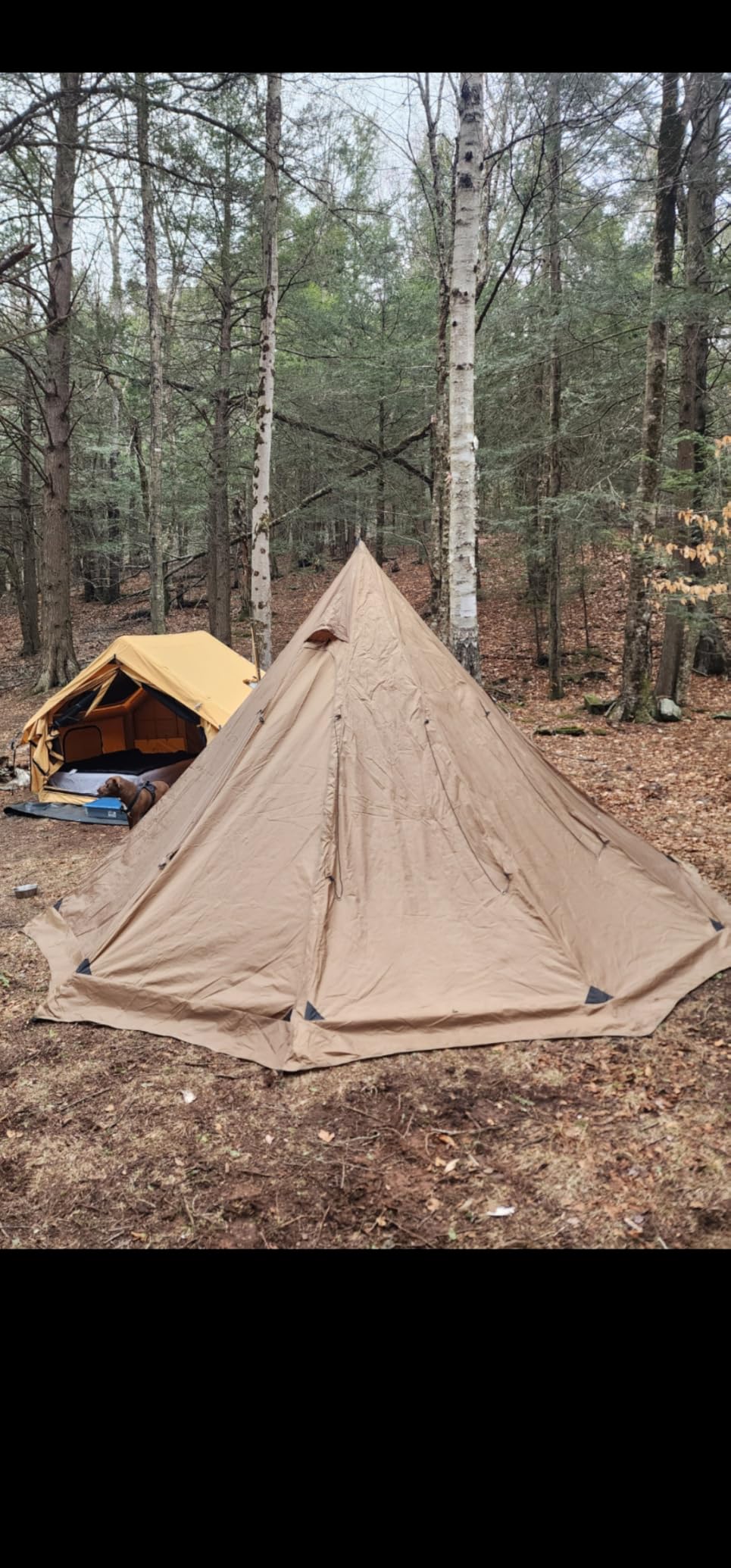 Preself 4~6 Person Tipi Hot Tent T3 XL with Screen Window, Height 8' 6 Preself 4~6 Person Tipi Hot Tent T3 XL with Screen Window, Height 8' 6