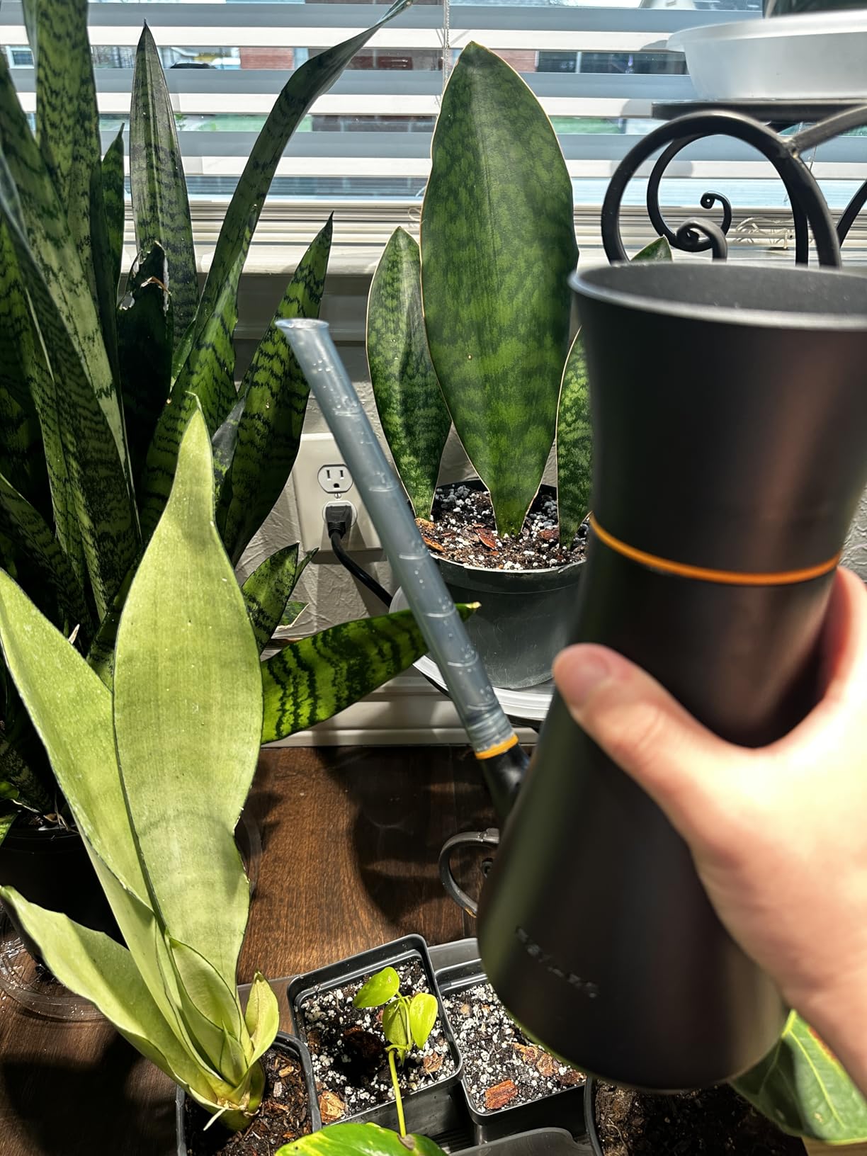 Fiskars Indoor Watering Can, Long Reach Spout for Precision Hydration on Houseplants, Anti-Drip Nozzle with Translucent Volume Markings, Ergonomic Recycled Plastic Body, 40 oz, Black customer photo 1