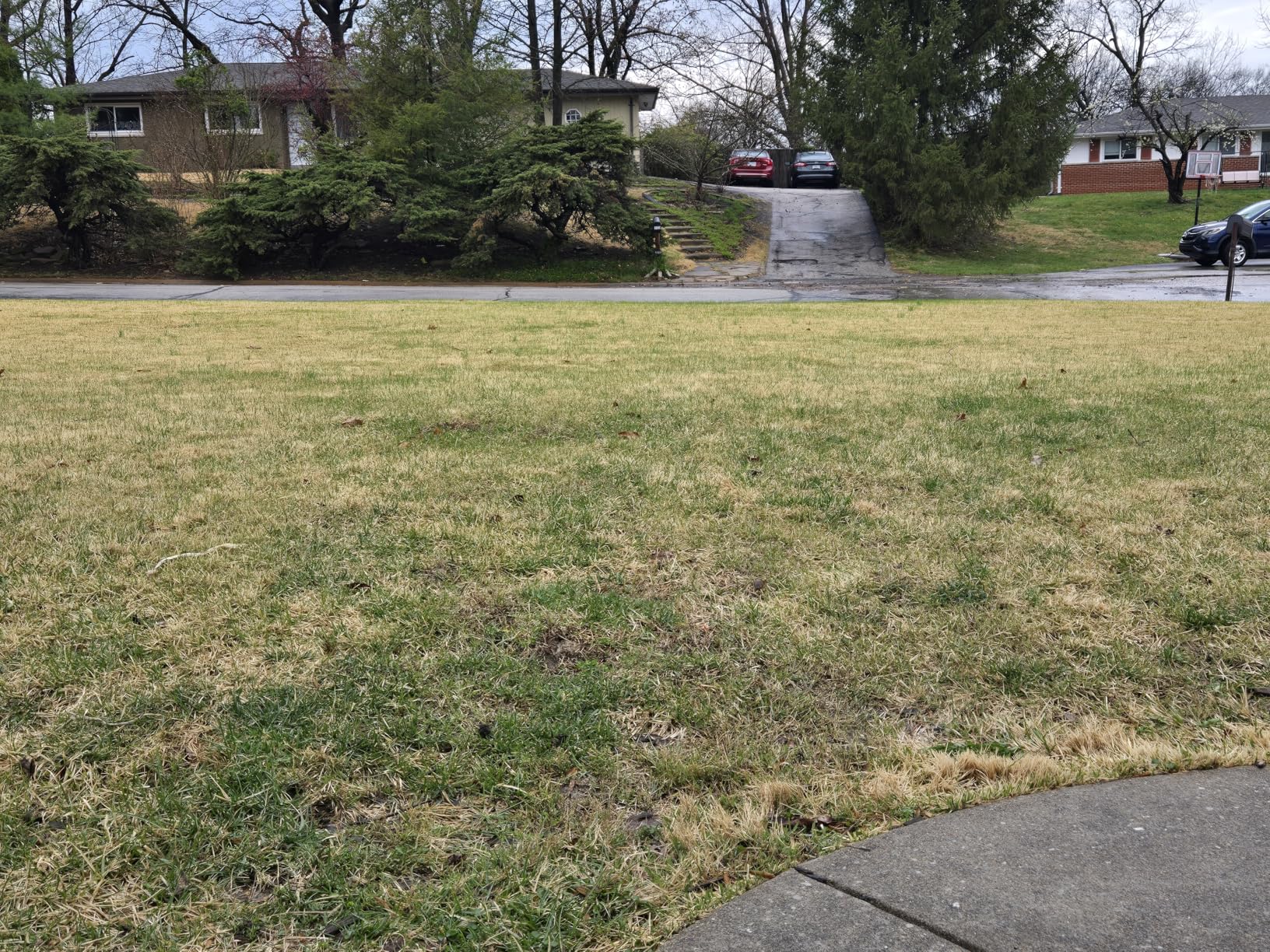 2-in-1 Dethatcher & 16-Inch Scarifier Electric Corded, 15 Amp Copper Motor, Electric Lawn Dethatcher with 5-Position Depth Adjustment, 14.5 gal Thatch Bag,Walk Behind for Yard Lawn Garden Care customer photo 1
