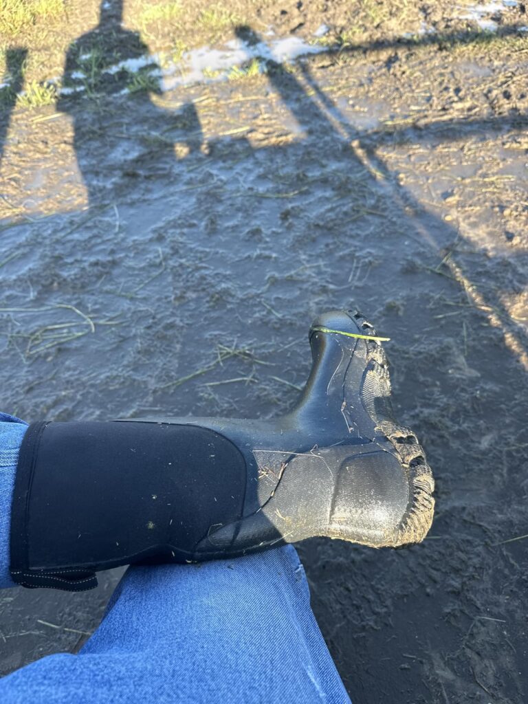 Men's Waterproof Rubber Boots, 6mm Neoprene Insulated Work Boots for Winter Snow & Mud - Durable Anti-Slip Rain Footwear for Farming, Hunting (Flexible Fit) Customer Review Best Wellies For Farm Work