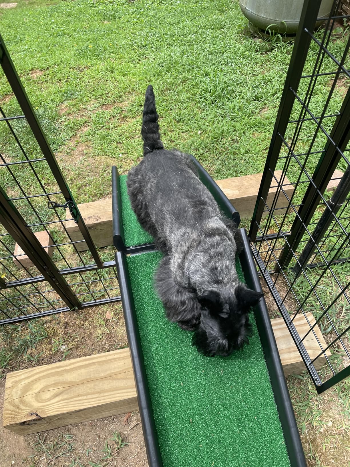 PawStep 50894 Pet Ramp for Dogs & Cats - Foldable Portable Dog Ramp with Poly Grass Non-Slip Surface, Lightweight Travel Ramp for Cars, SUVs, Beds & Couches customer photo 2