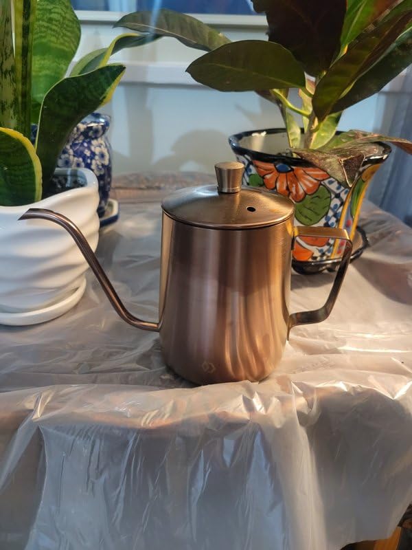 OFFIDIX Watering Can for Indoor Plants,Long Spout Metal Stainless Steel 21 oz/600 ml Watering Can with 14 oz/400ml Glass Plant Mister Spray Bottle for Plant Bonsai customer photo 2