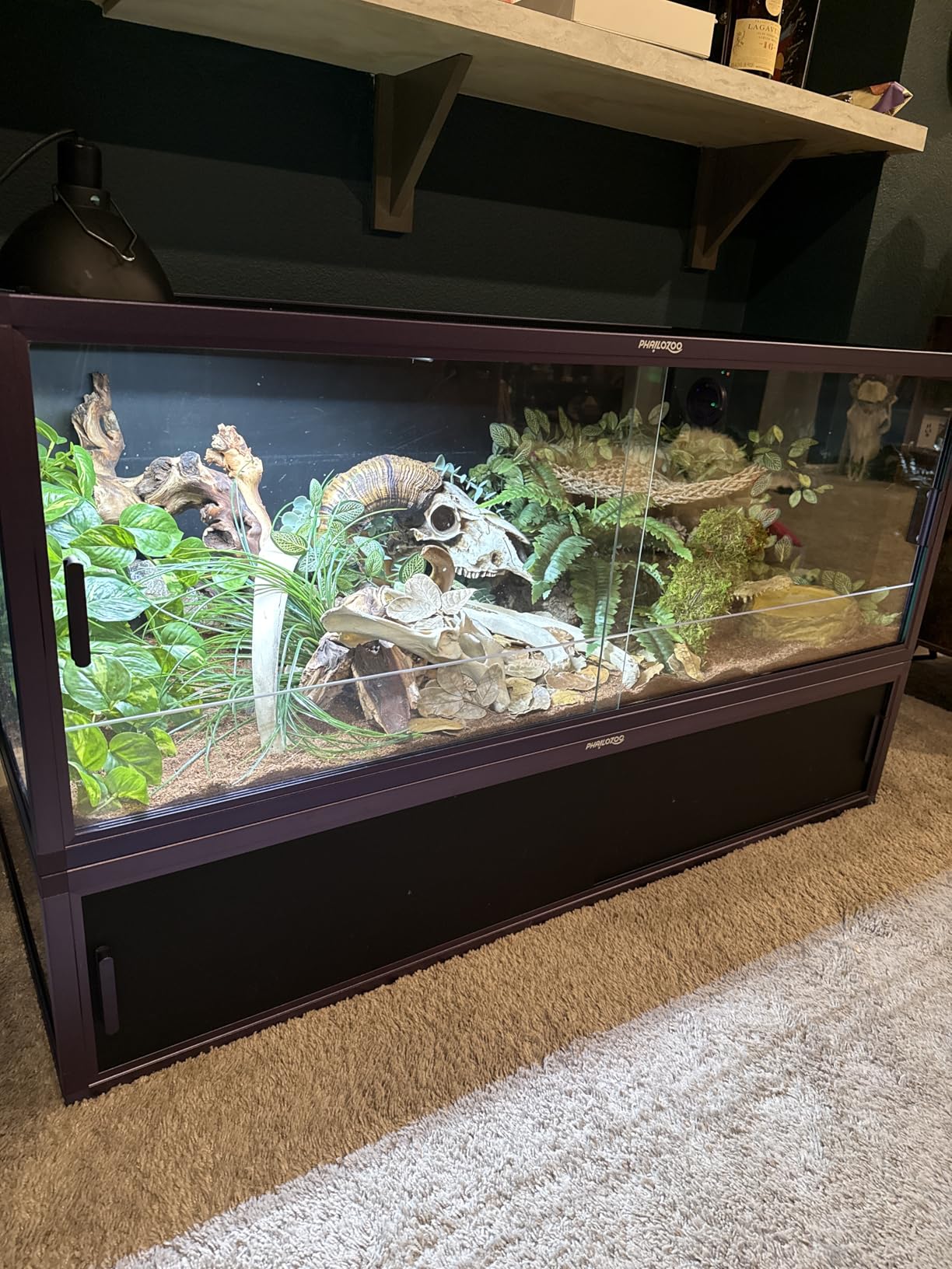 50 Gallon Bearded Dragon Tank, Reptile Enclosure for Easy Maintenance, Front Opening Reptile Tank with Top Screen Ventilation & Glass Sliding Door 36''x18''x18'' customer photo 2
