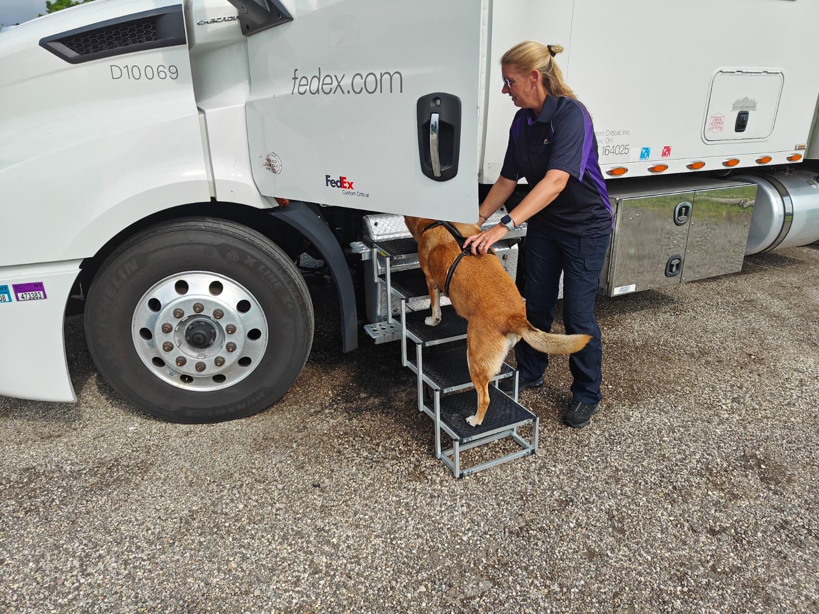 Dog Stairs for Large Dogs - 5 Step Wide 16in High 34in Foldable Dog Ramp for Car Non-Slip Surface Support up to 230lbs - Suitable for SUV, Truck, Sofas, Bed customer photo 1