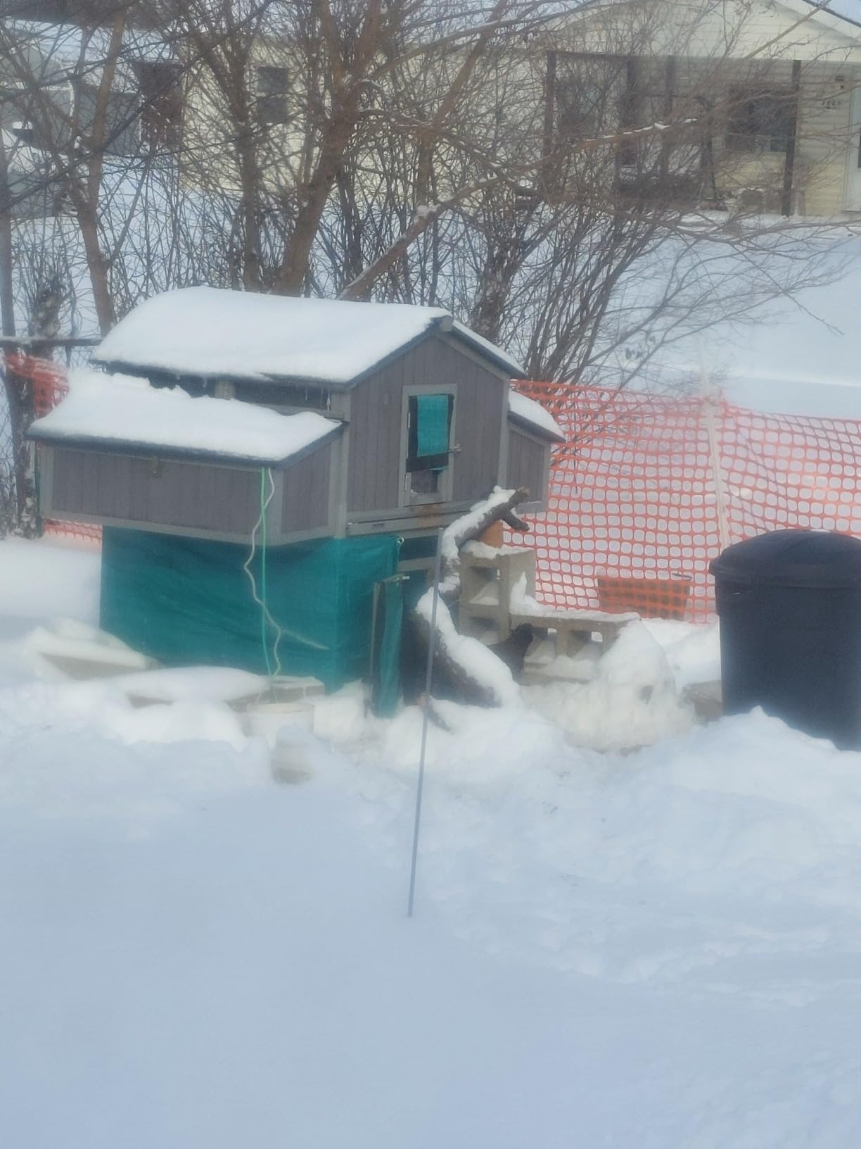 Large Chicken Coop - Unique Folding Design for Easy to Set Up - Chicken House for Outdoor with Two Nesting Box, Leakproof Pull-on Tray, and UV-Resistant Roof Panel customer photo 1