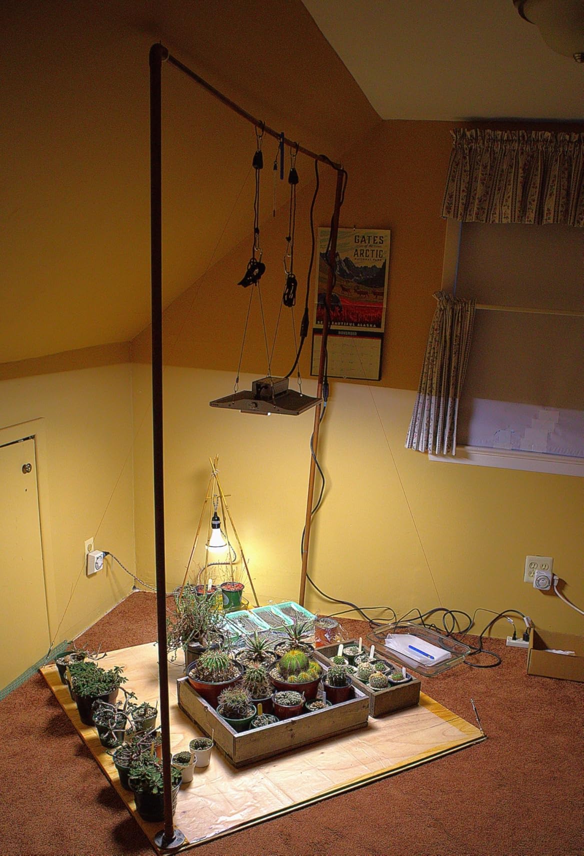 70 Watt Grow Light, Dimmable Plant Light, LED Grow Lights for Indoor Plants customer photo 2