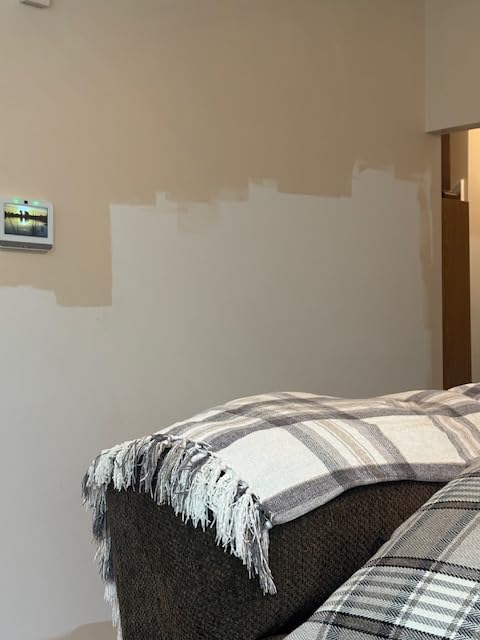 EVOLVE Interior Paint & Primer, Eggshell (Alabaster White), 5 Gallon - One-Coat Coverage, Excellent Hide, Low VOC, Low Odor, Washable Paint for Walls, Doors & Trim customer photo 1