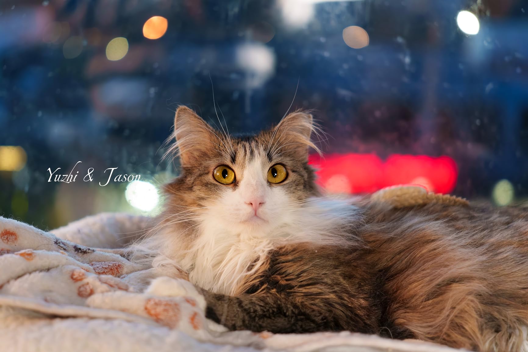 17-40mm F1.8 DC | Art for Fuji X customer photo 1
