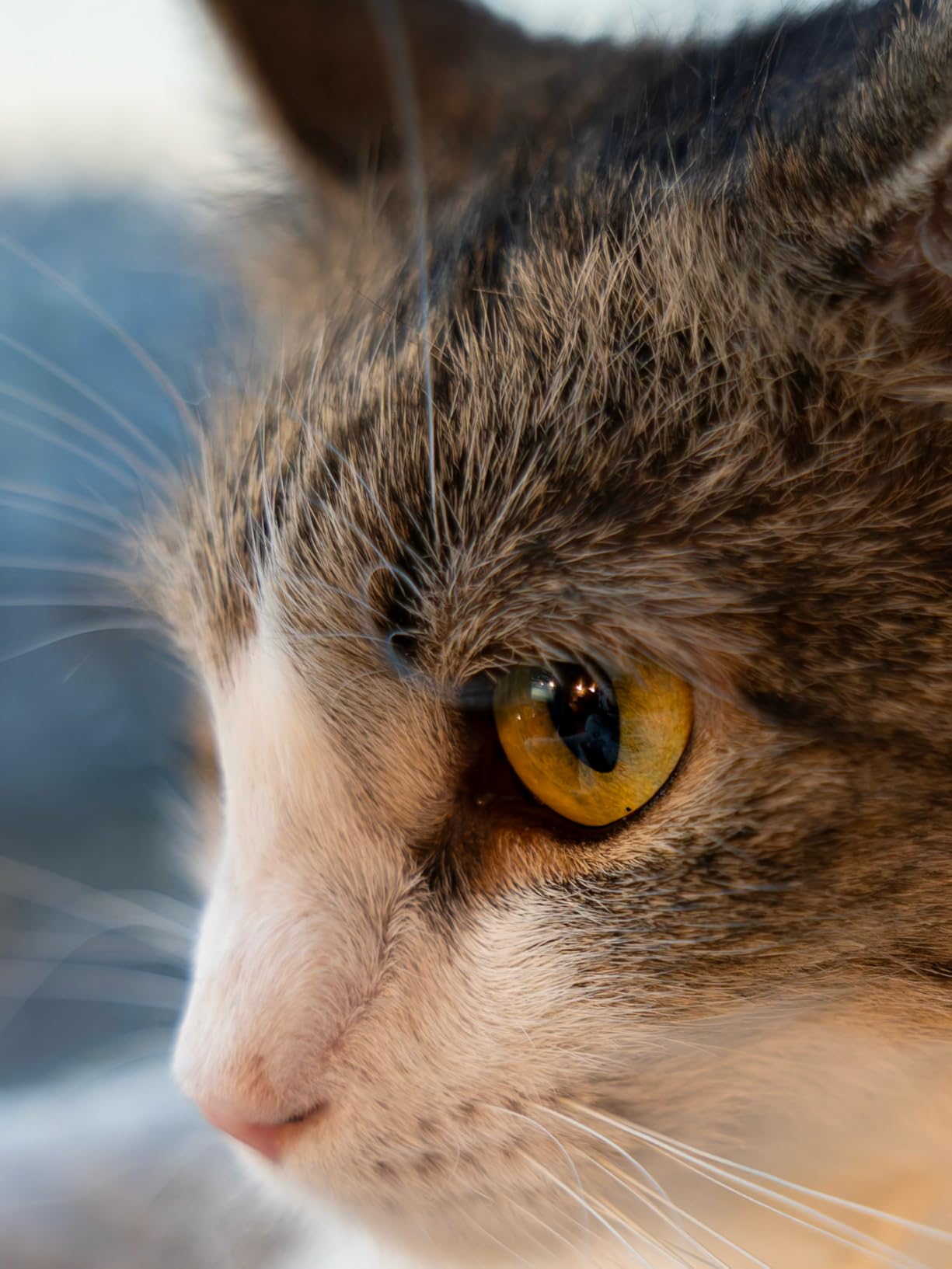 17-40mm F1.8 DC | Art for Fuji X customer photo 2