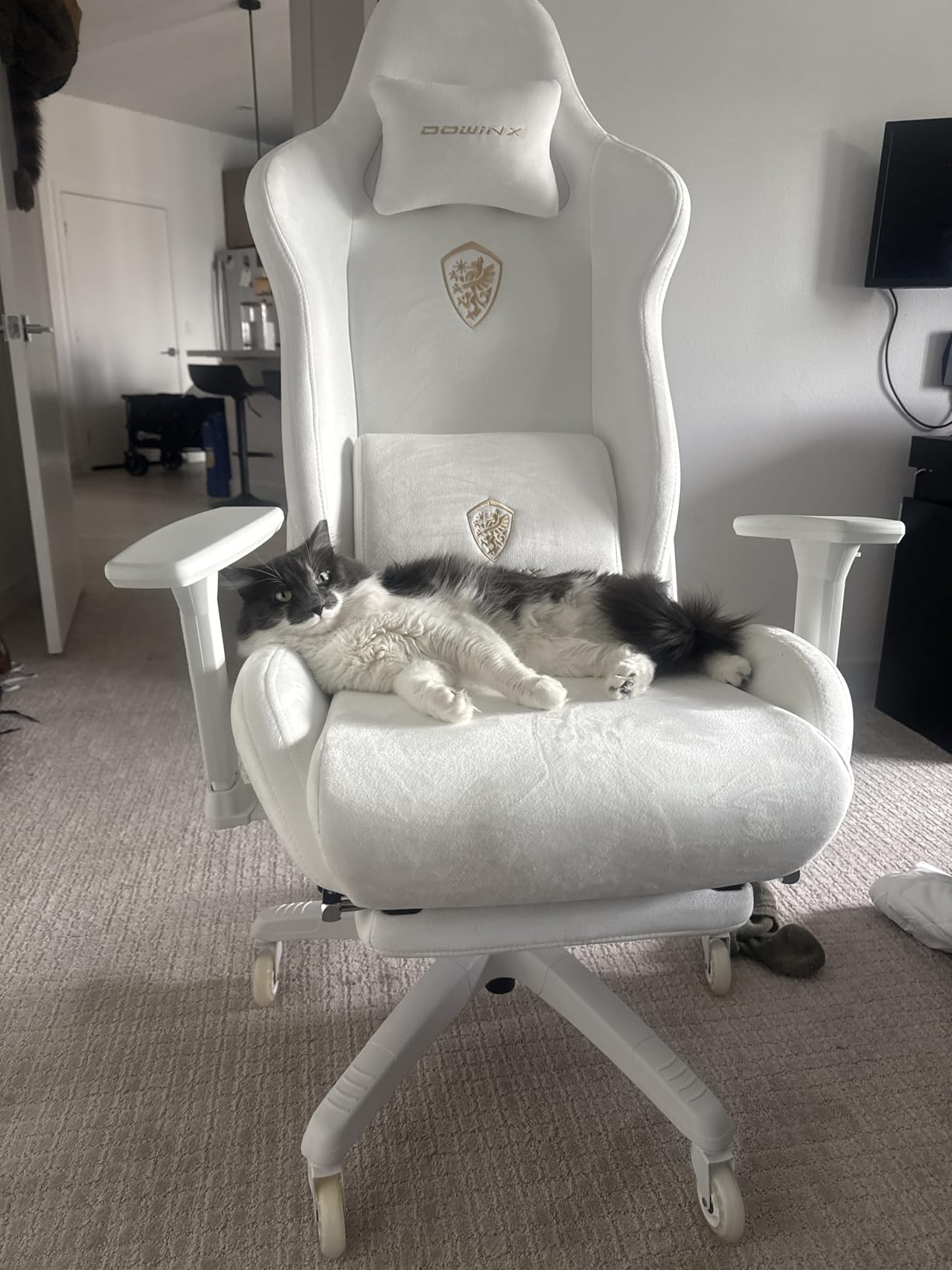 Dowinx Big and Tall Gaming Chair with Suede Fabric Breathable, Game Chairs for Adults with Oversized Thick Seat for 440lbs, Ergonomic Gamer Chair for Streaming & Long Gaming Sessions, Grey customer photo 2