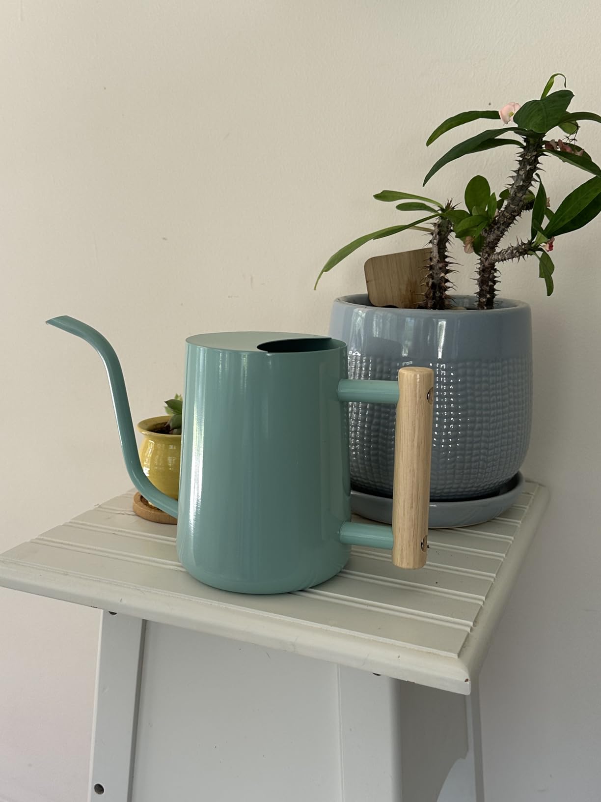 Watering Can Indoor Plants, 35oz Small Stainless Steel Metal Watering Can Modern Decorative Watering Pot with Long Spout for Indoor House Plant Bonsai Garden Flowers (Copper) customer photo 2