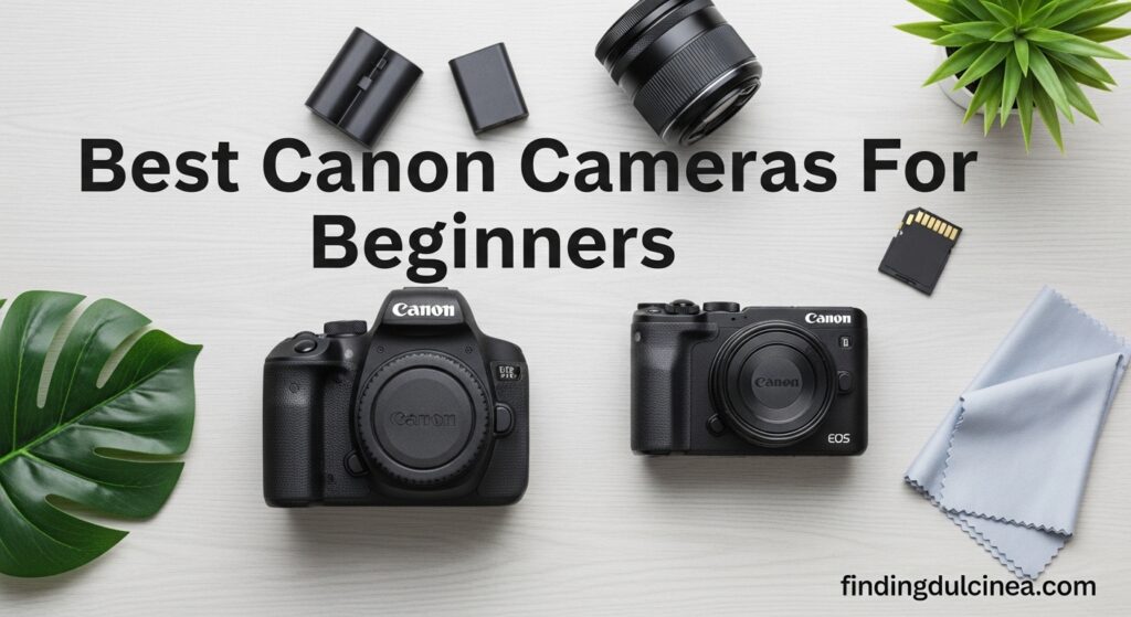 Current image: Best Canon Cameras For Beginners