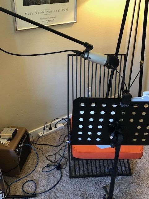 Samson C01 Studio Condenser Recording Microphone Mic w/Large Diaphragm customer photo 2
