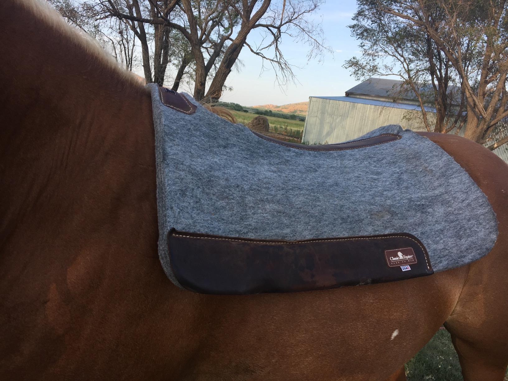 Classic Equine Blended Felt Saddle Pad, 1-inch Thick, 31-inch x 32-inch customer photo 1