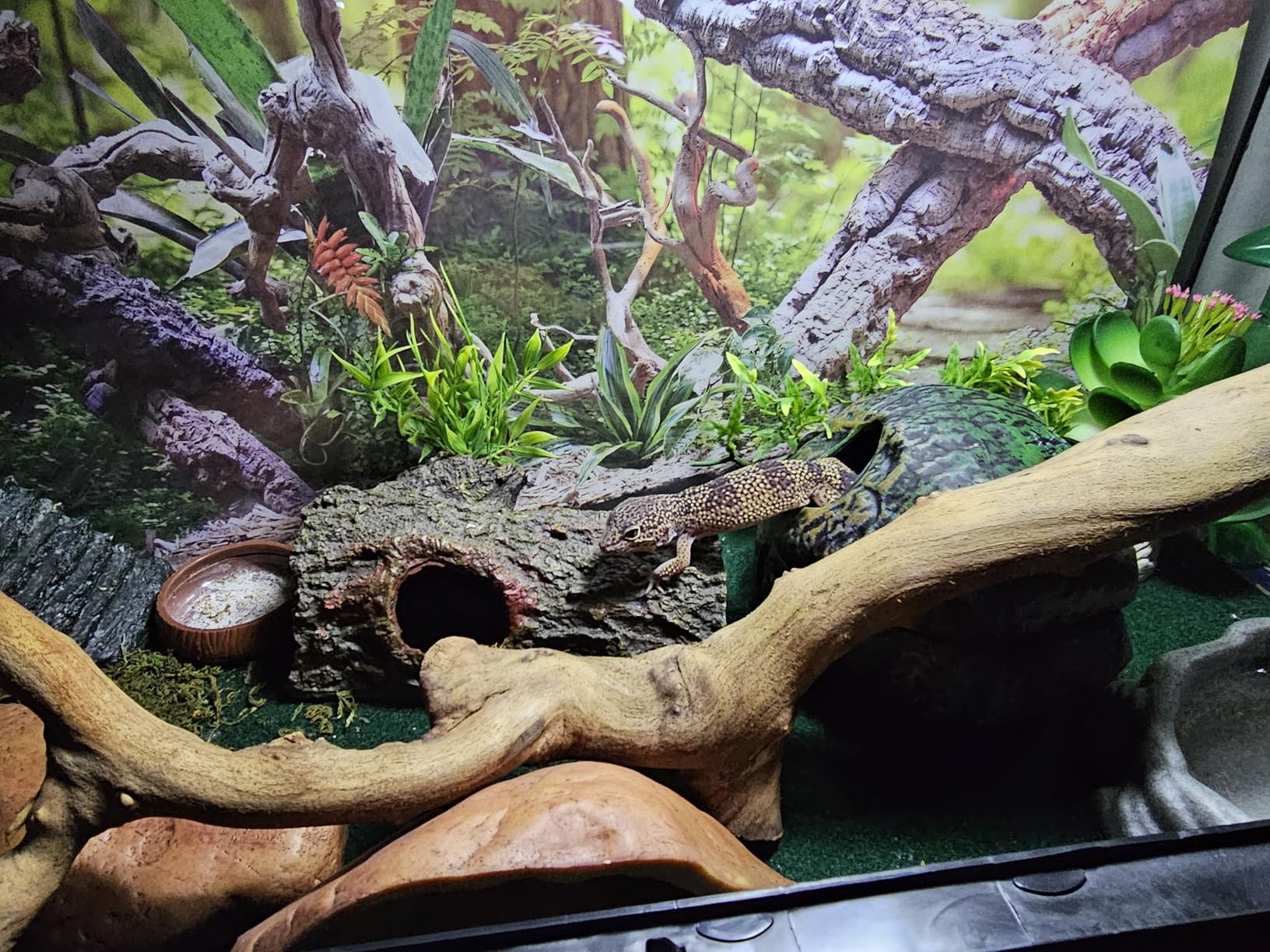 Zoo Med Reptile Shelter 3 in 1 Cave, Medium customer photo 2