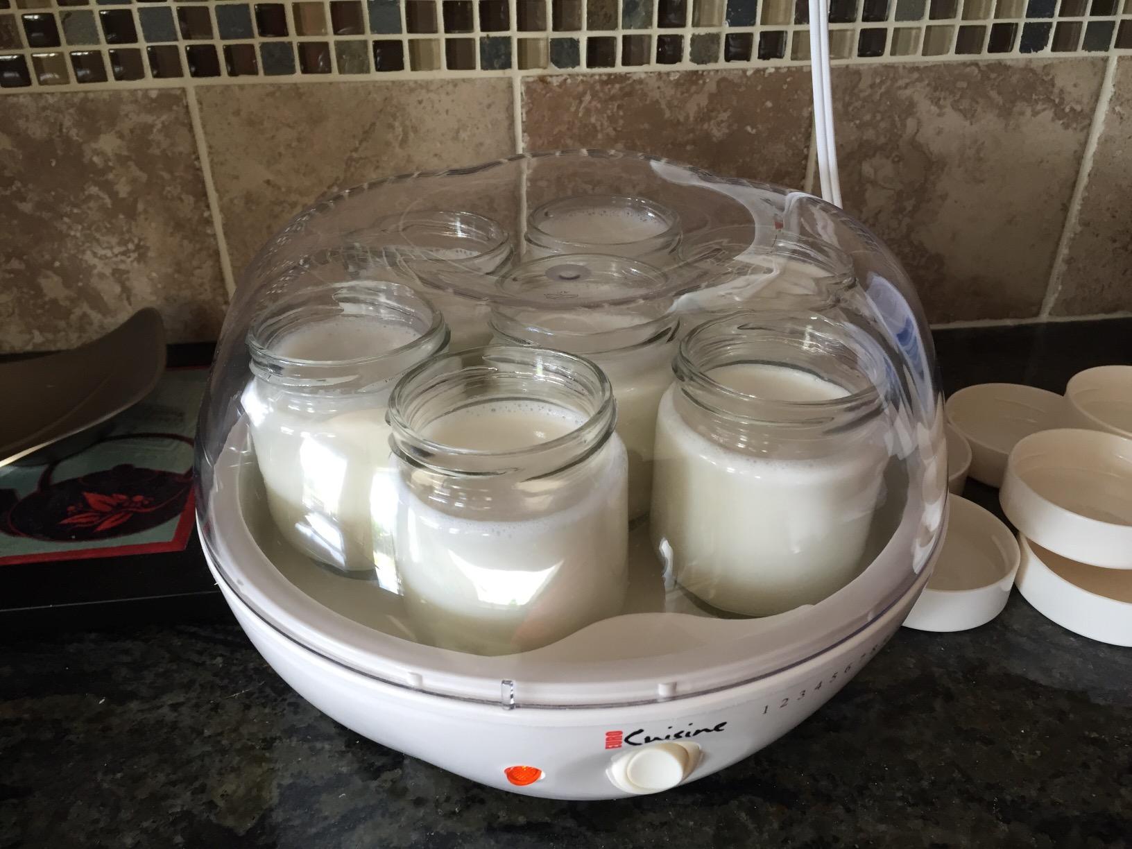 Euro Cuisine YM80 Electric Yogurt Maker Machine - Home Yogurt Incubator with Glass Jars, White customer photo 1