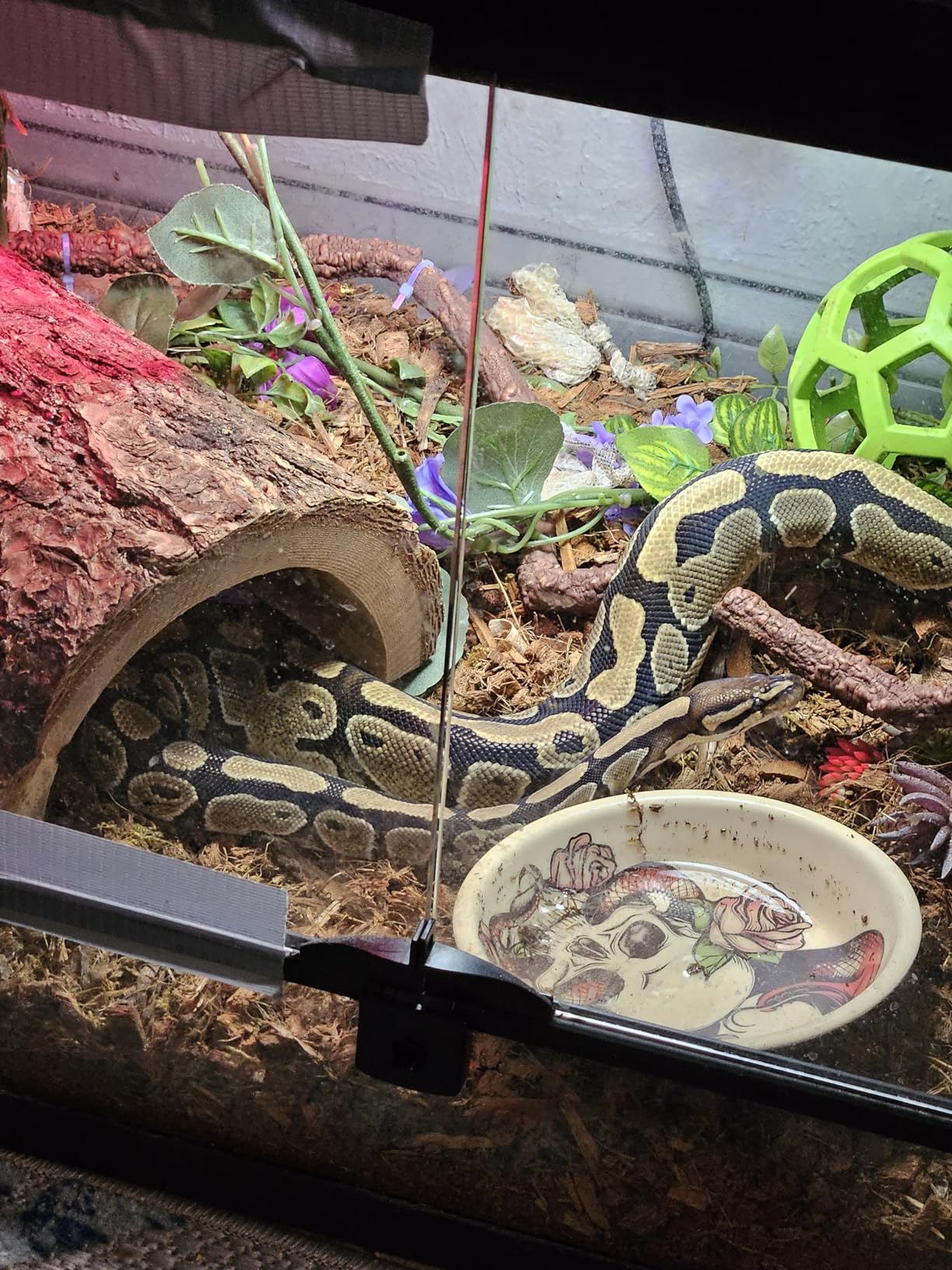 Zoo Med Habba Hut, Extra Large customer photo 1