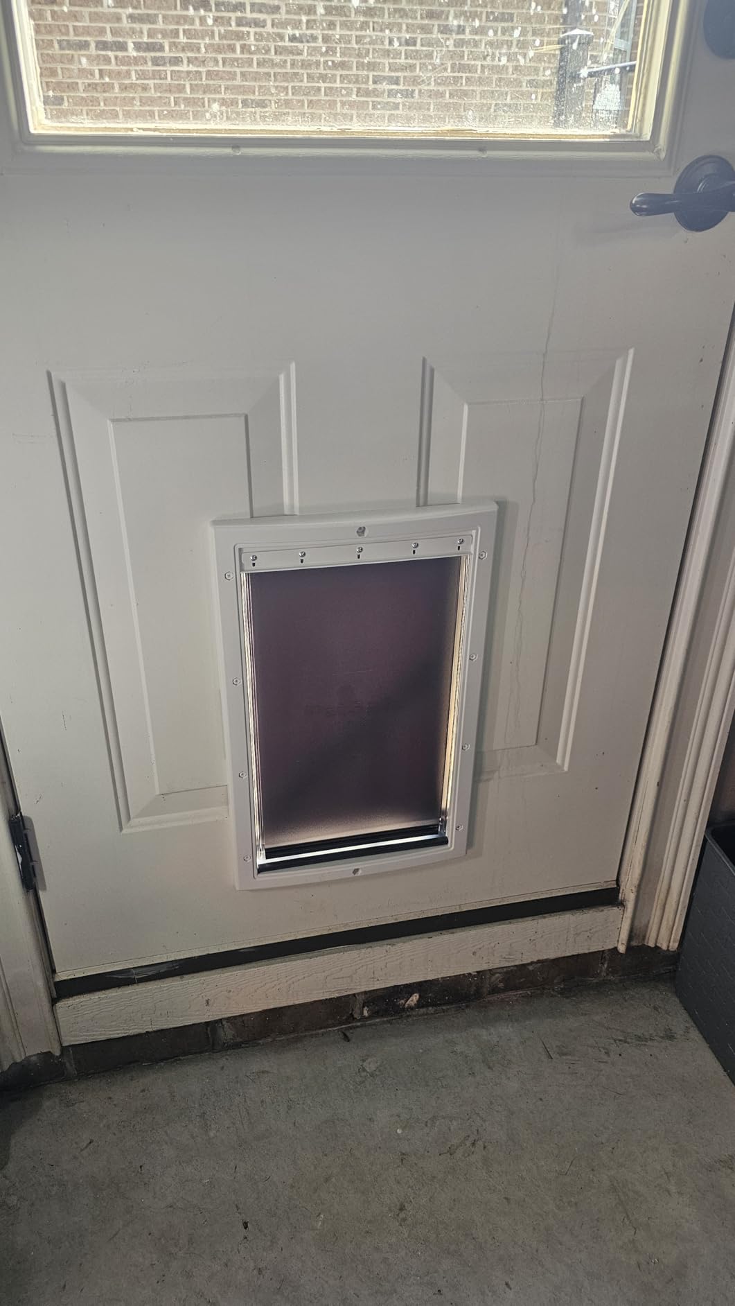 PetSafe Extreme Weather Pet Door - Insulated Weather-Resistant Dog & Cat Door with Durable Plastic Frame - Maximum Energy-Saving Efficiency - Medium - for Dogs & Cats up to 40 lbs customer photo 1