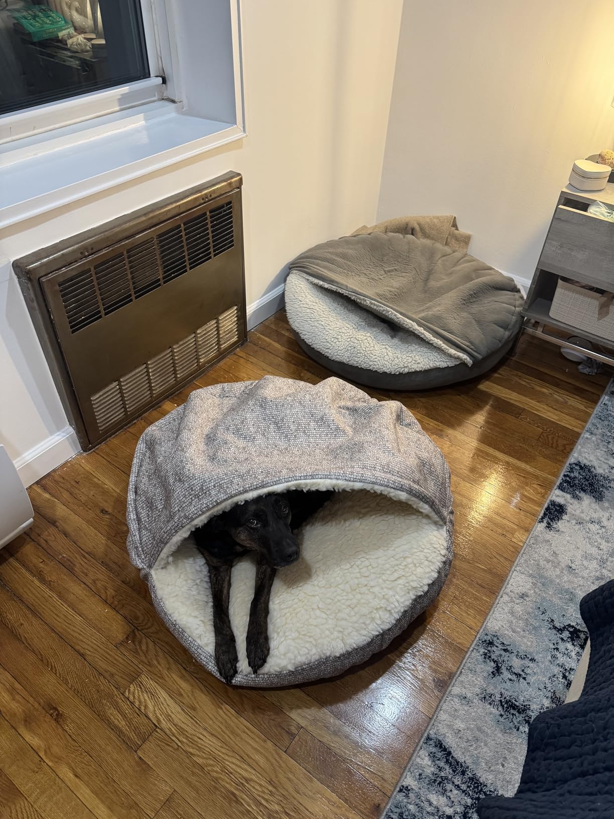 Snoozer Cozy Cave Dog Bed - Indoor Dog Bed with Cover Cave, Covered Calming Burrow for Medium & Large Sized Pets with Blanket Attached, Enclosed, Removable Washable Cover - XL, Olive customer photo 1