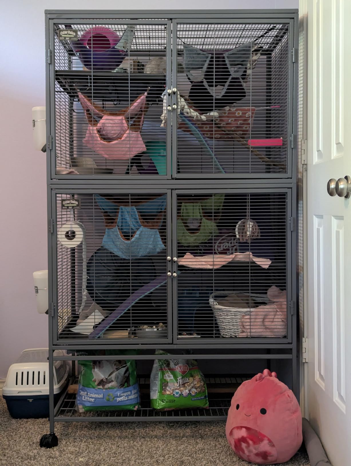 MidWest Homes for Pets Critter Nation Double Unit Small Animal Cage, 4 Tiers, Includes Pan, Shelf, Ramp & Cover, for Rats, Ferrets, Chinchillas, Sugar Gliders customer photo 1