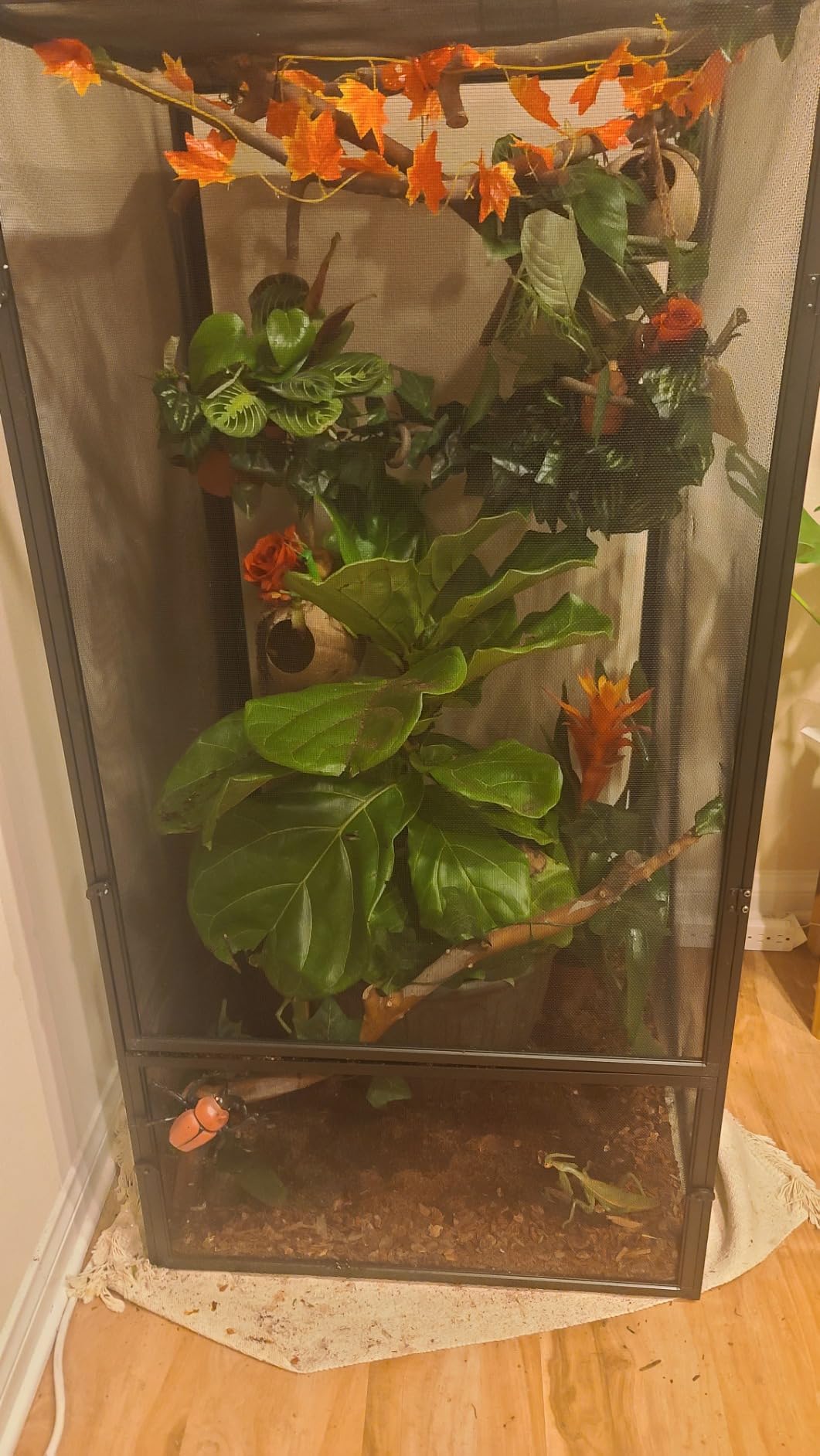 Zoo Med Reptibreeze Open Air Screen Cage 24x24x48 customer photo 2